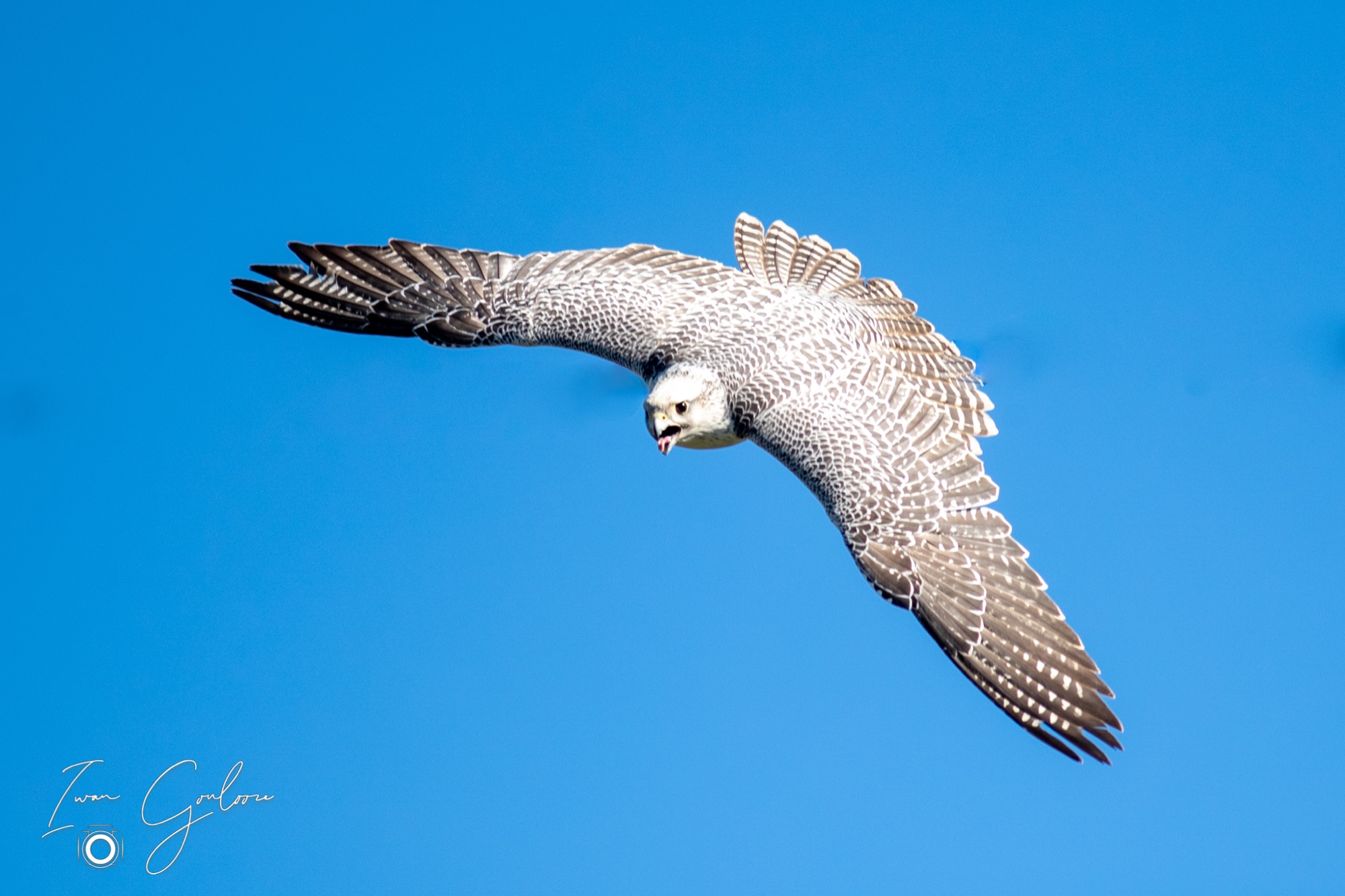 27 maart 2022 150731 1DX45980